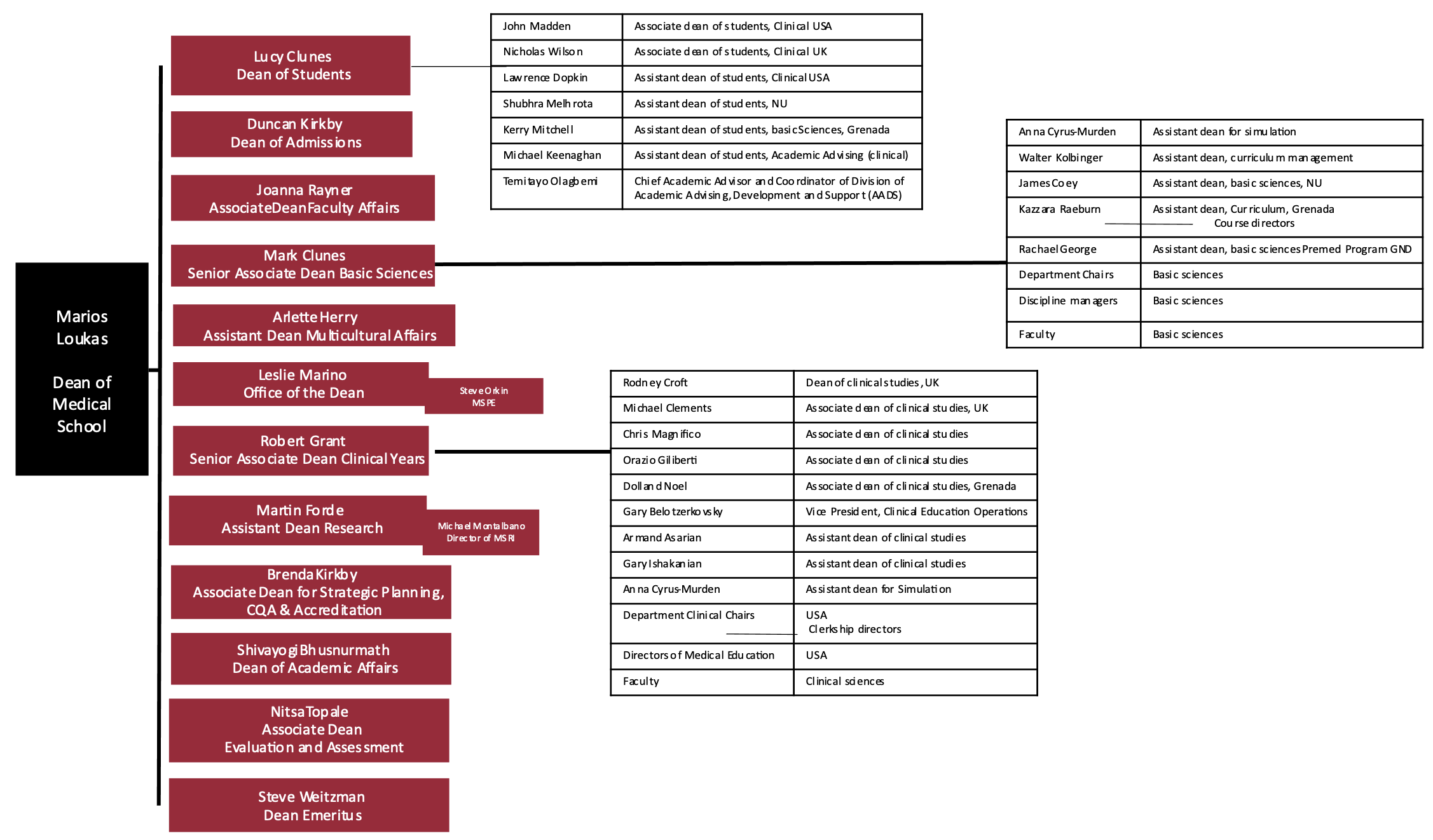 SOM Organizational Chart St. University